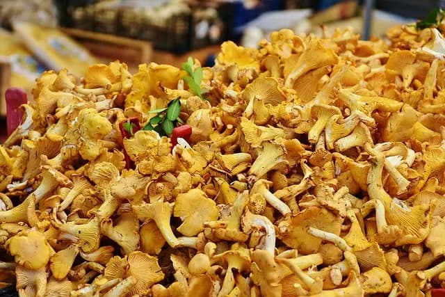 10 experiencias gastronómicas imprescindibles para el turismo de placer