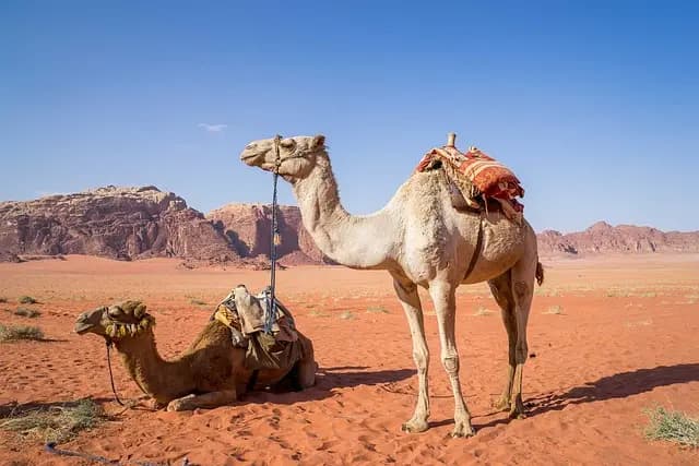 10 destinos sorprendentes para unas vacaciones de placer
