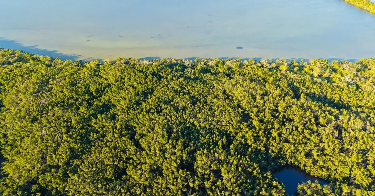 Los mejores destinos de ecoturismo en España