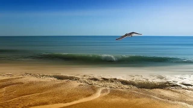 Cómo organizar unas vacaciones de placer inolvidables