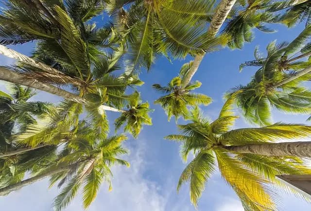 Cómo elegir el mejor destino para tus vacaciones de placer