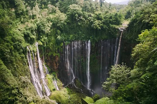 Las tendencias emergentes en turismo de placer para 2026