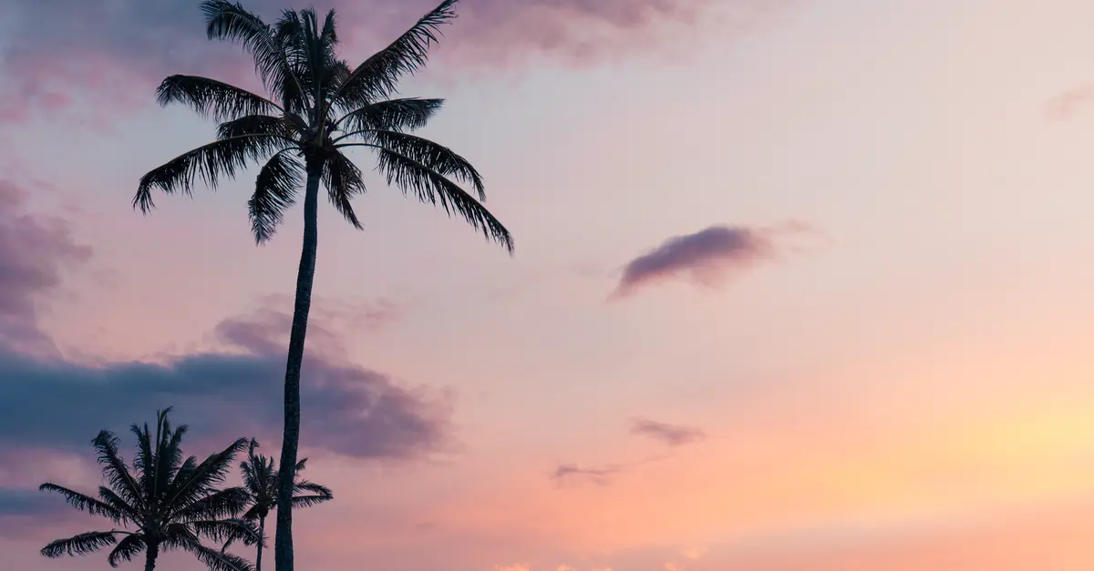 10 secretos para unas vacaciones de placer únicas
