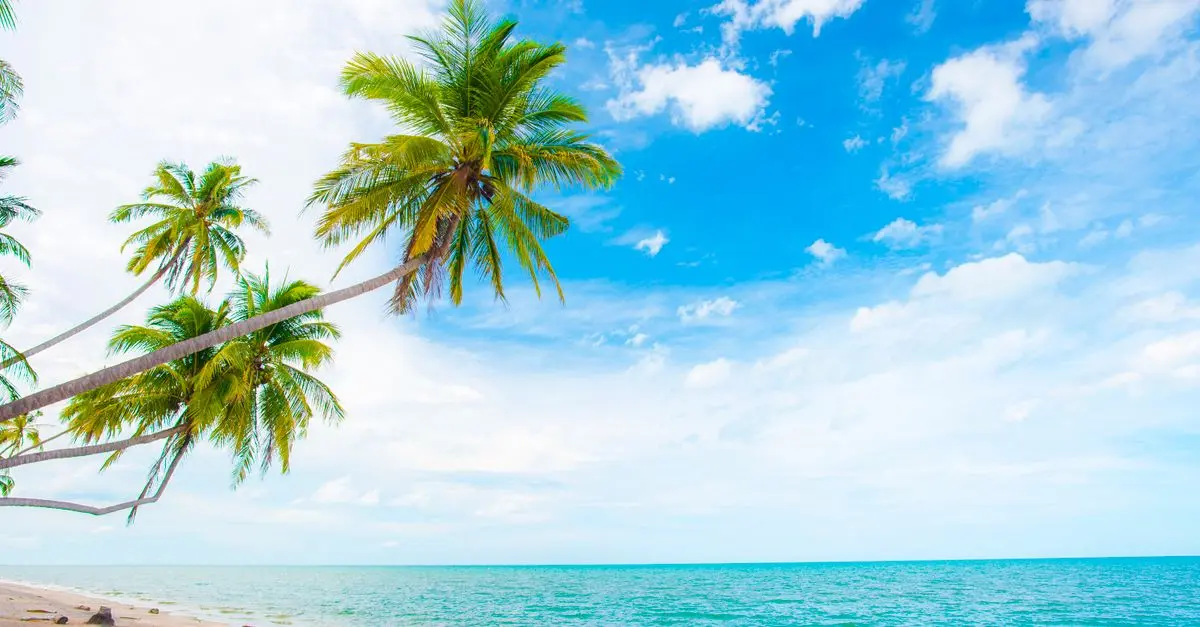 Cómo planificar unas vacaciones de placer perfectas
