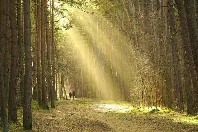 10 actividades emocionantes para unas vacaciones de placer