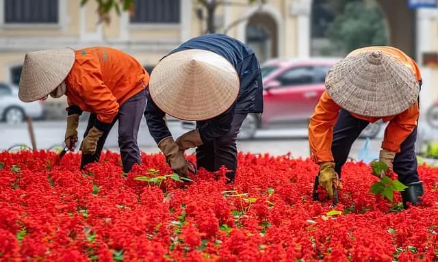 Las mejores actividades culturales que debes disfrutar en tus vacaciones de placer