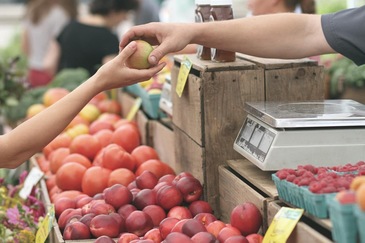 Las mejores rutas gastronómicas para el turismo de placer