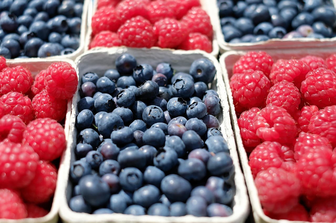 Las mejores actividades de placer para disfrutar durante tus vacaciones