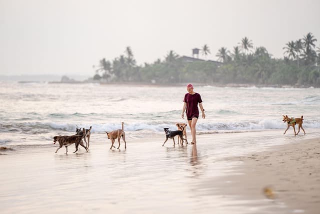 10 tips para elegir el destino perfecto para tus vacaciones de placer